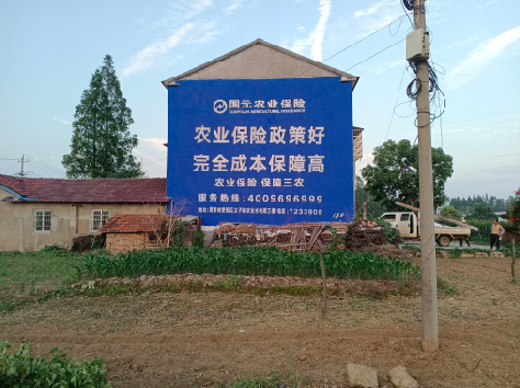 苍梧墙体广告为何受追捧?